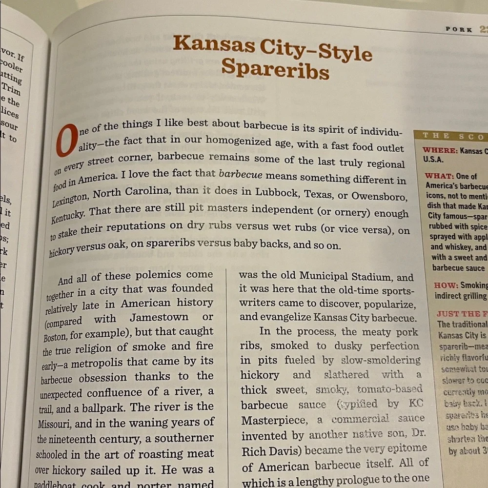 Steven Raichlen's Planet Barbecue Cookbook